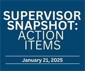 Supervisor Snapshot: Action Items