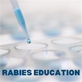 Rabies education