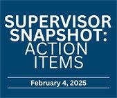 Supervisor Snapshot: Action Items