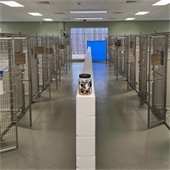 Empty kennels at Goochland Animal Shelter