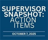 Supervisor Snapshot: Action Items
