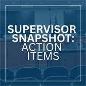 Supervisor Snapshot: Action Items