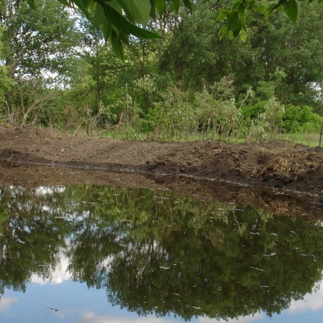 Dam Safety Newsflash Graphic