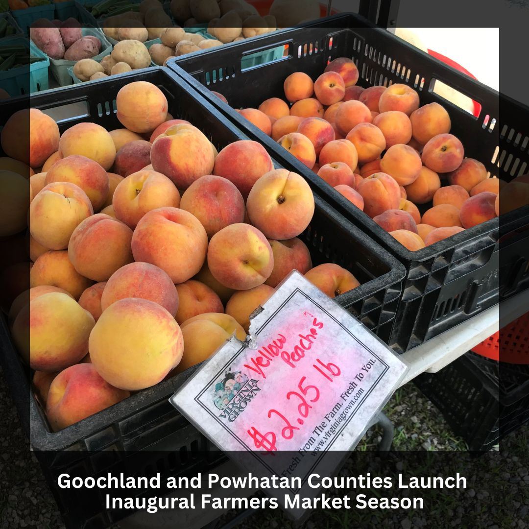 Farmers Market Season