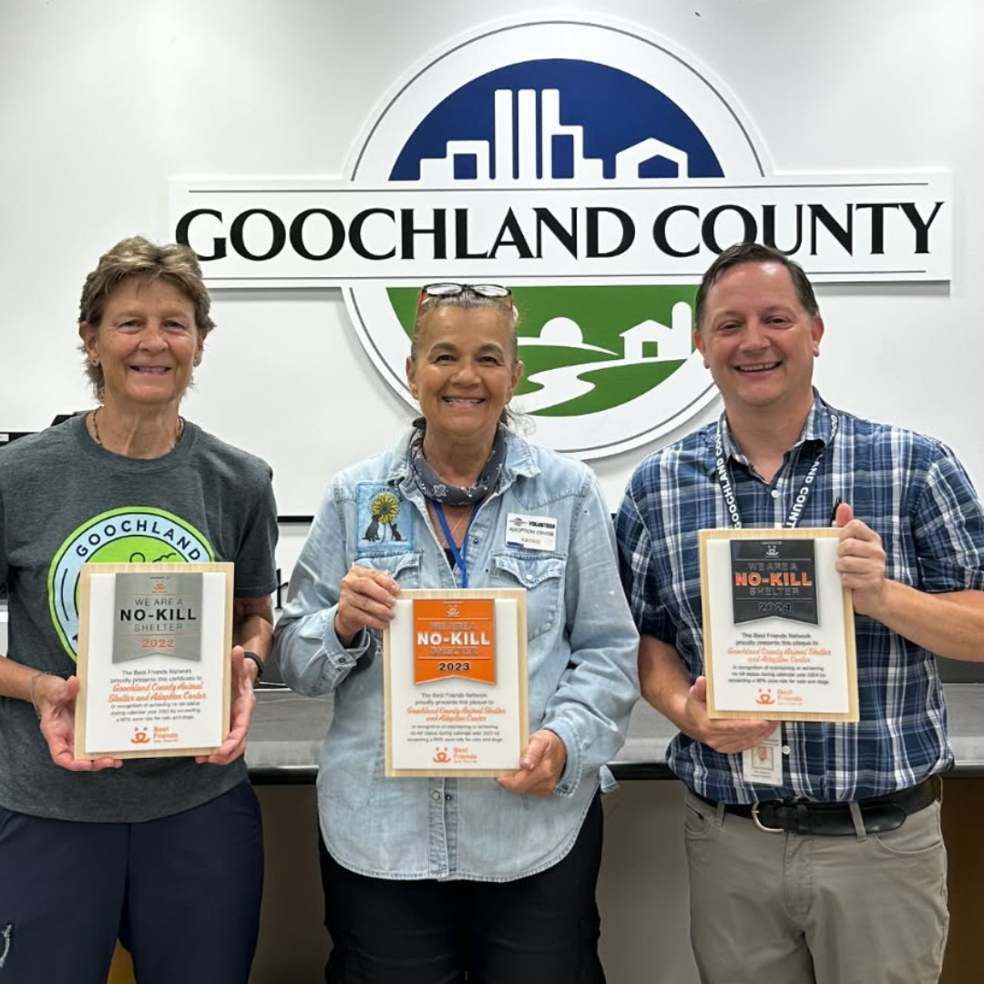 No-Kill Award Animal Shelter