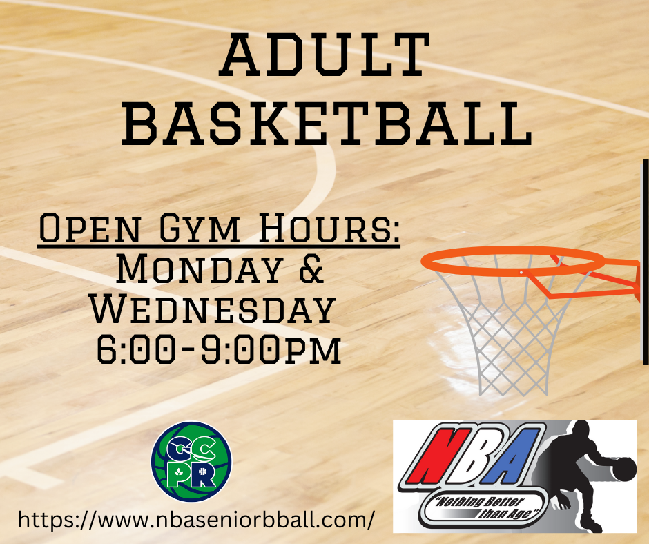 adult basketball (6)