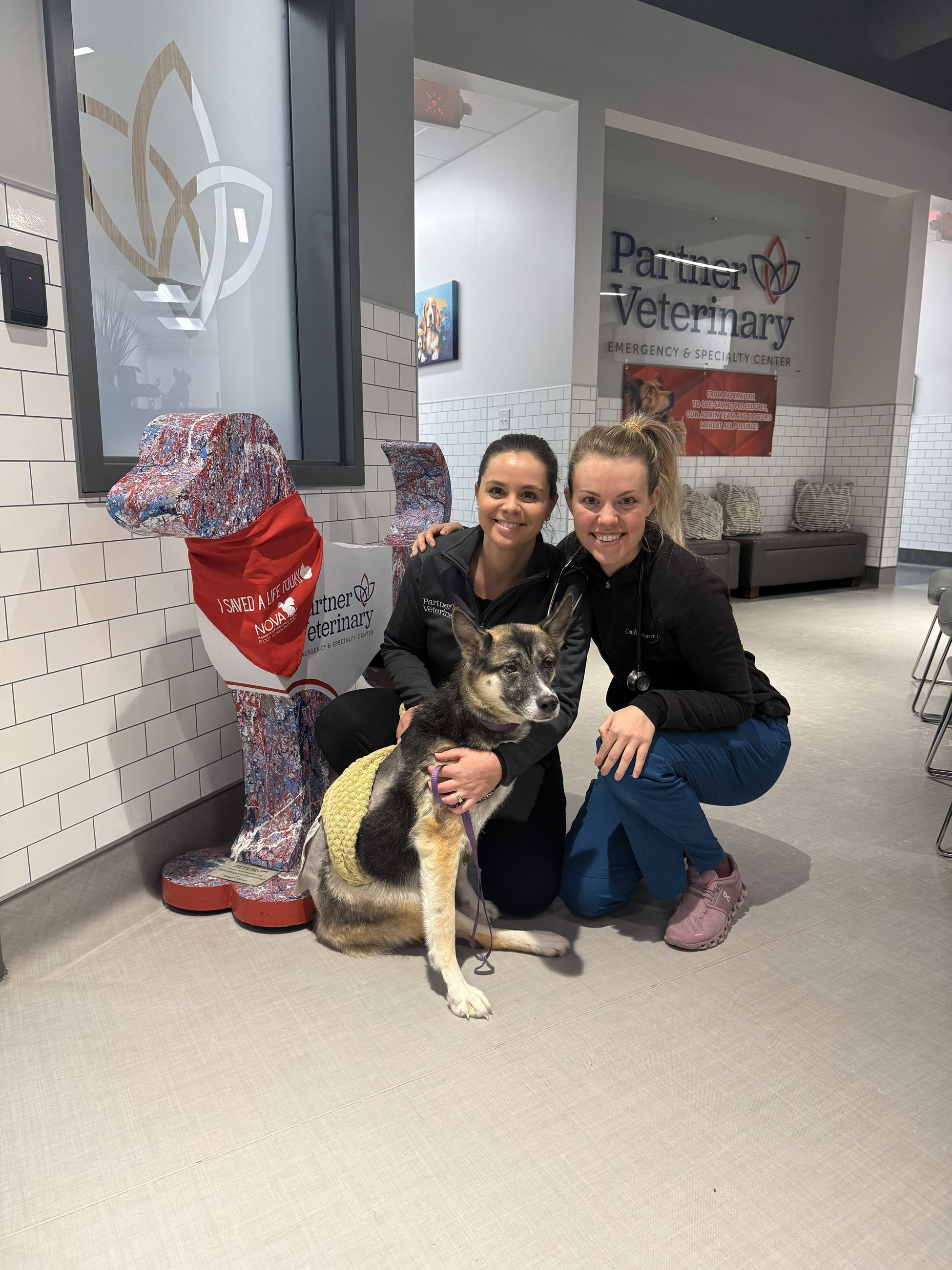 Noel at Partner Veterinary 4